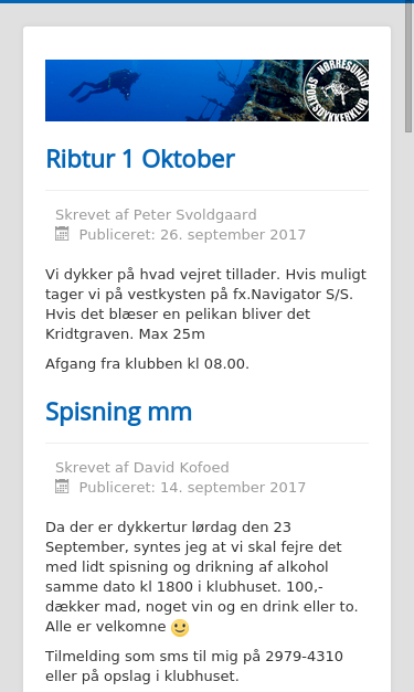 Mobile view