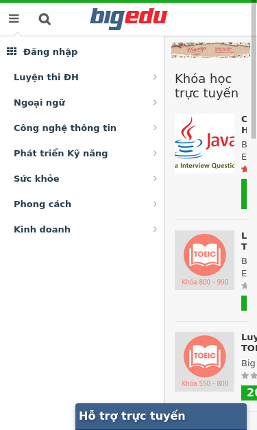 Mobile view