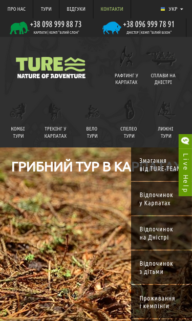 Mobile view