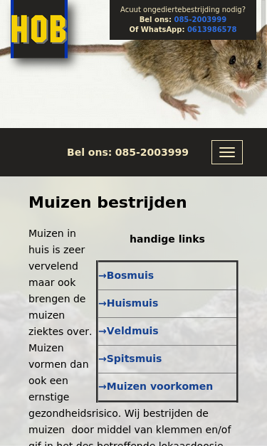 Mobile view