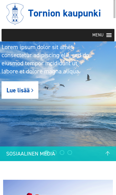 Mobile view