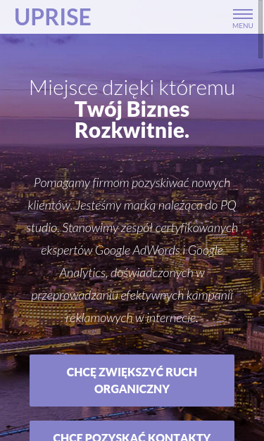 Mobile view