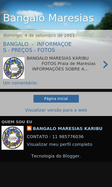 Mobile view