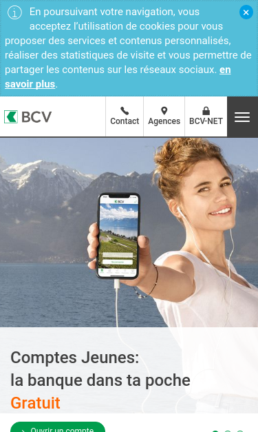 Mobile view
