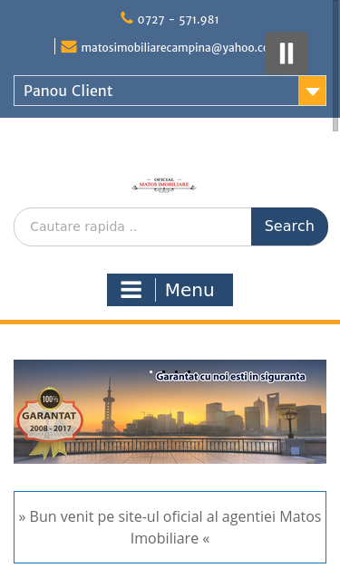 Mobile view
