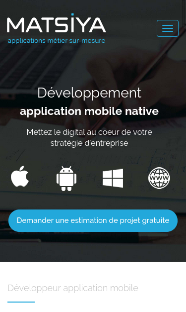 Mobile view