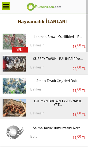 Mobile view
