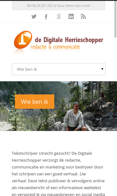 Mobile view