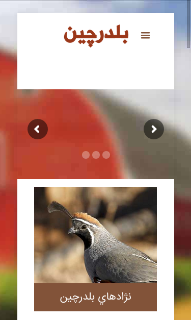 Mobile view