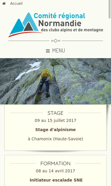 Mobile view