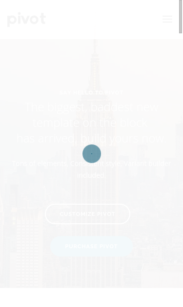 Mobile view