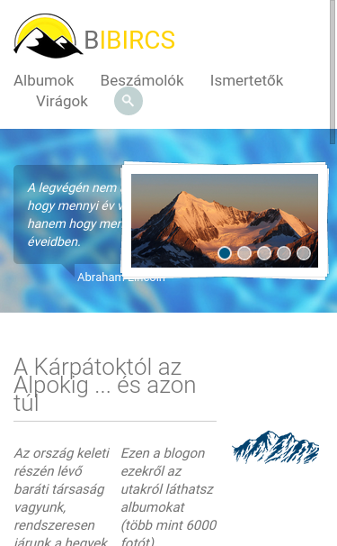 Mobile view