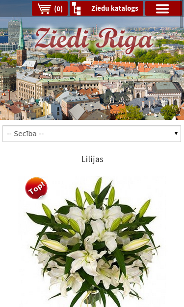 Mobile view