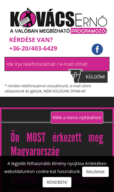 Mobile view