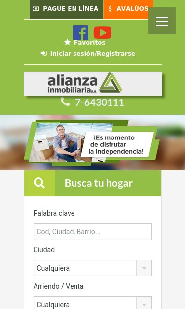 Mobile view