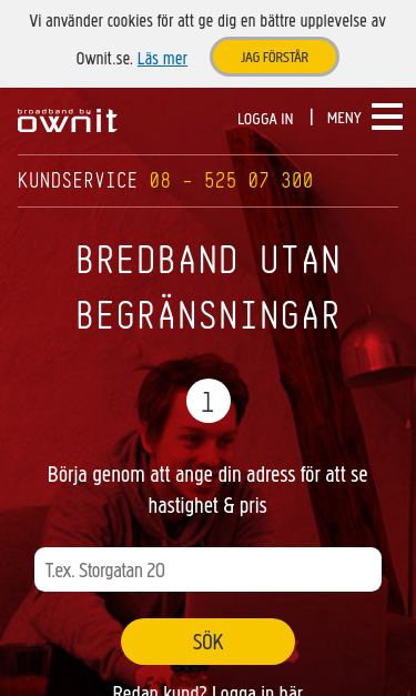 Mobile view