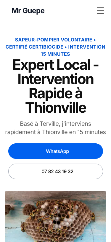 Mobile view