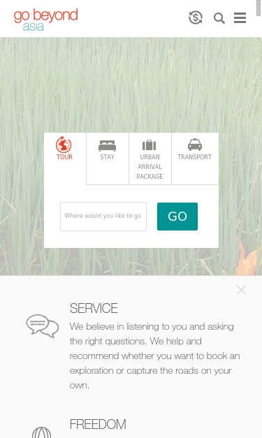 Mobile view