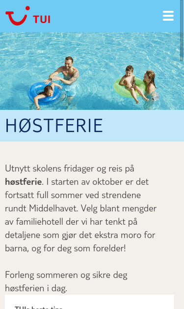 Mobile view