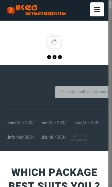 Mobile view