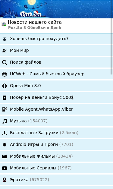 Mobile view