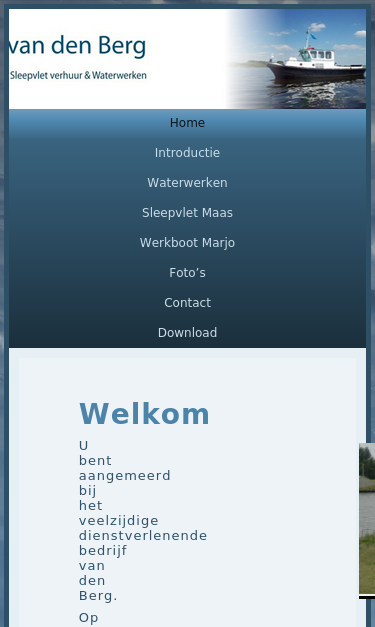 Mobile view
