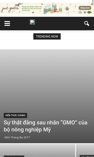 Mobile view