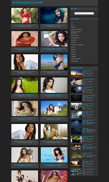 Mobile view