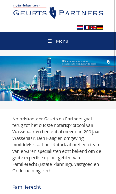 Mobile view