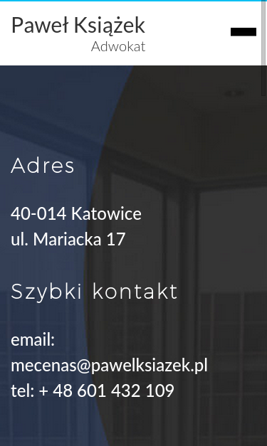 Mobile view