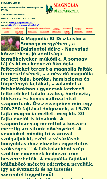 Mobile view