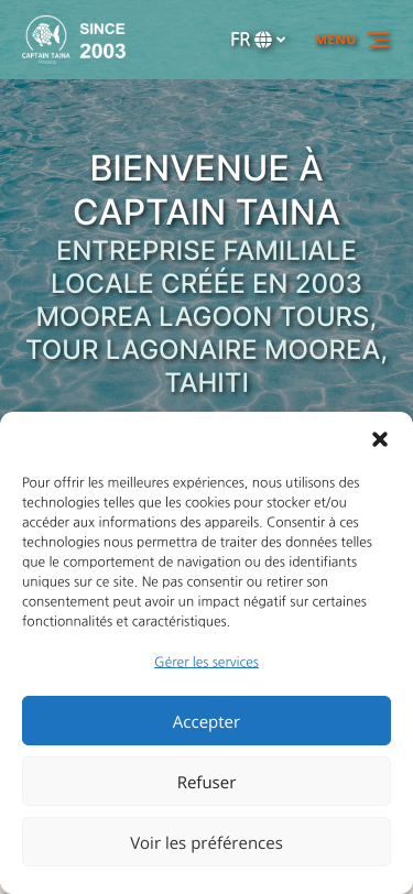 Mobile view