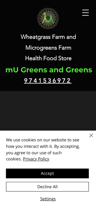 Mobile view