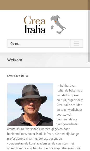 Mobile view