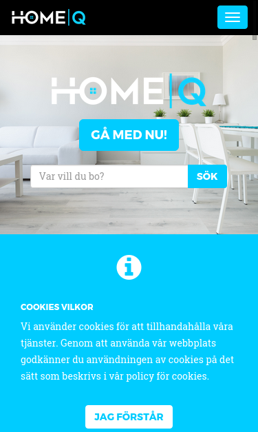 Mobile view