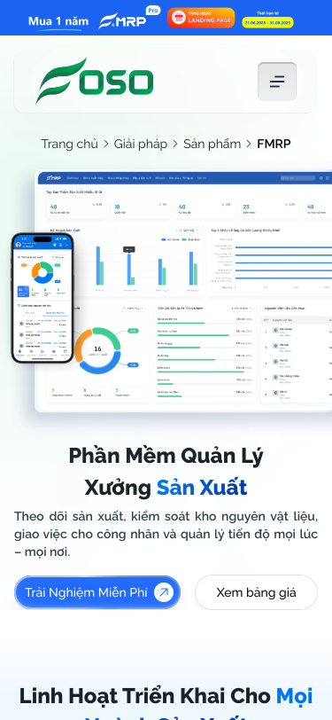Mobile view