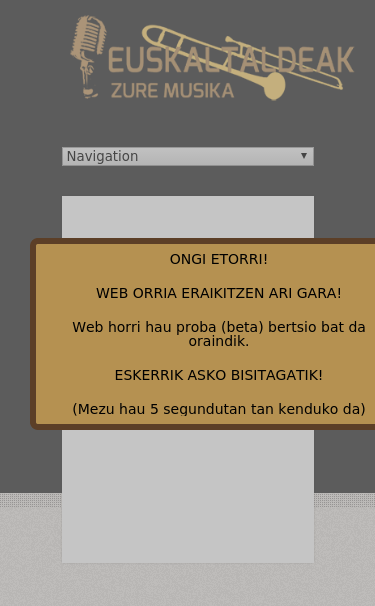 Mobile view