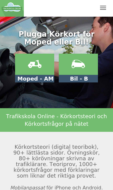 Mobile view
