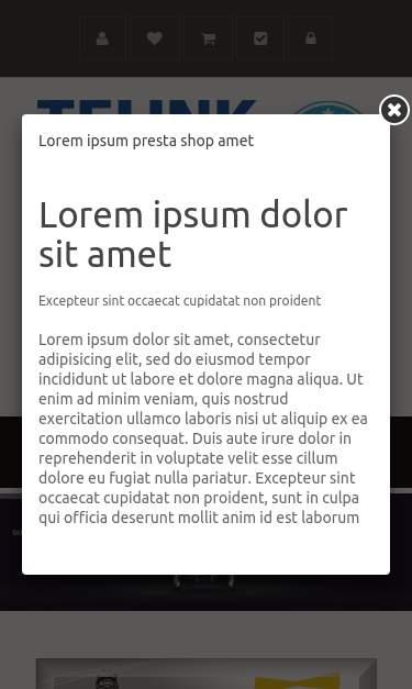 Mobile view