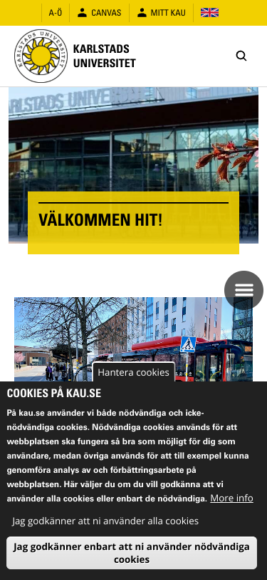 Mobile view