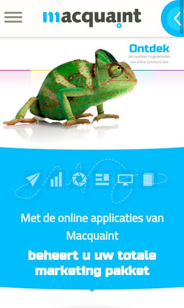 Mobile view