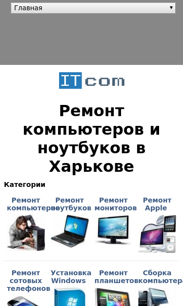 Mobile view