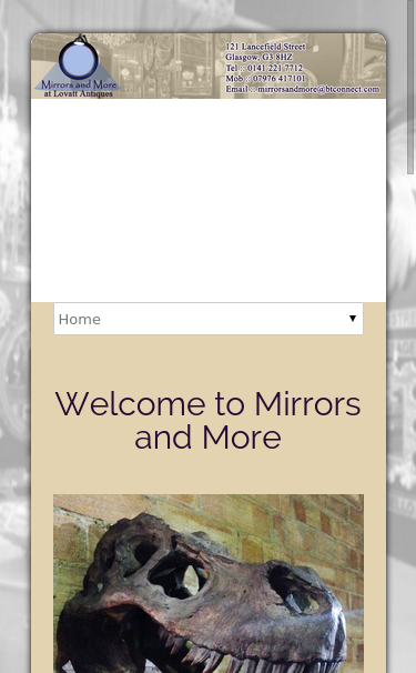 Mobile view