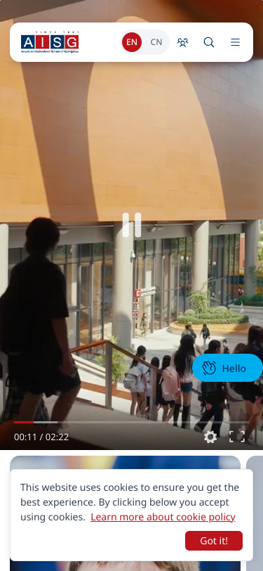 Mobile view