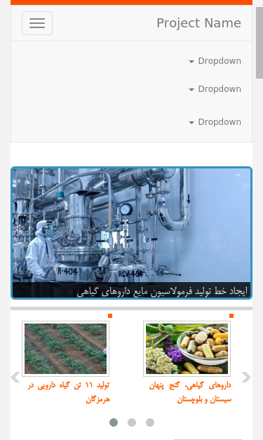 Mobile view