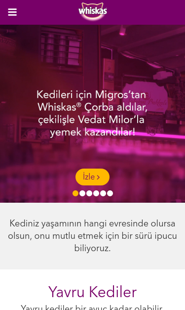 Mobile view
