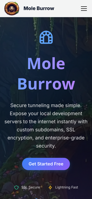 Mobile view