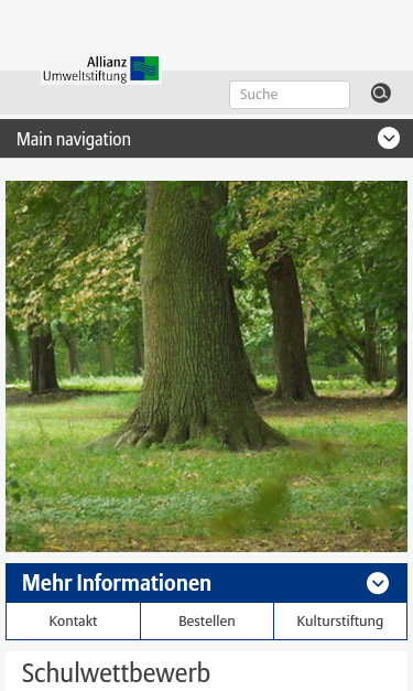 Mobile view
