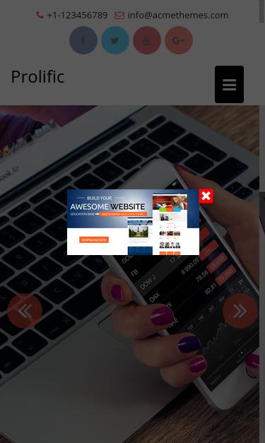 Mobile view