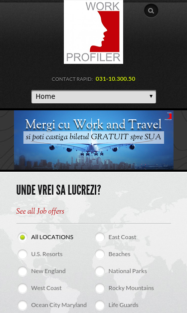 Mobile view